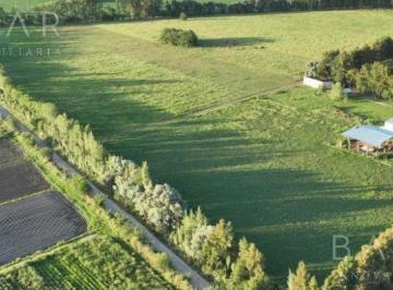 Campo · 205000m² · 2 Ambientes · Venta Campo con Galpon - Excelente Ubicación Ruta 34 - Lujan