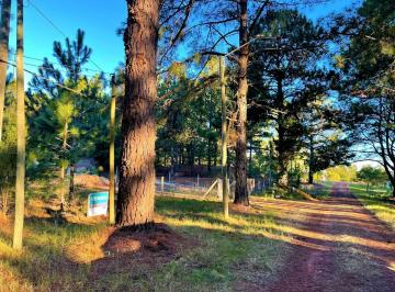 Terreno · 542m² · Venta - Terreno - Carmelo - Balneario Zagarzazu