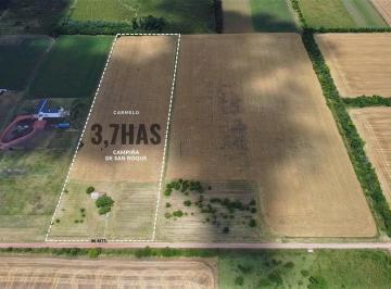 Campo · 37852ha · Venta - Chacra - 3.7 Ha - San Roque - Carmelo - Colonia