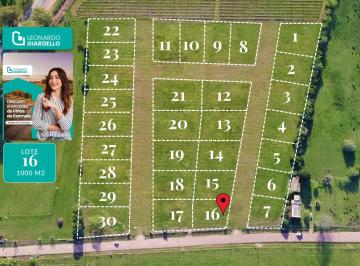 Terreno · 1000m² · Venta - Terreno - Lote 11 - Carmelo - Barrio Viñas de Carmelo