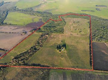 Campo · 490000ha · 1 Dormitorio · Venta - Campo - Carmelo - Zona Víboras