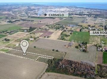 Campo · 31000ha · Chacra en Venta