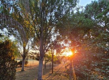Quinta vacacional · 160m² · 3 Dormitorios · 1 Cochera · Casaquinta - Venta - Bo. Parque Las Acacias Brandsen