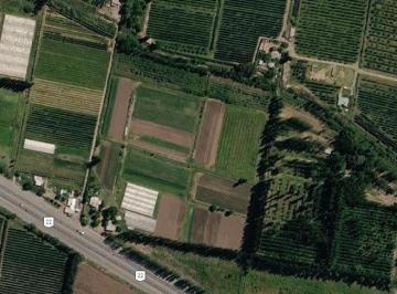 Bodega-Galpón de 5 ambientes, General Fernández Oro · Alquila Base Operativa Ideal Para Empresas con Predio Para Maquinaria o Camiones - Gral Fdez Oro
