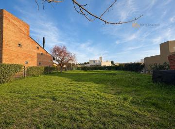 Terreno · 461m² · Venta - Roldan - El Moilino