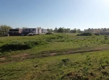Terreno · 970m² · Terreno en Venta en Pilara, Tilbury Sur. Fianciacion o Permuta