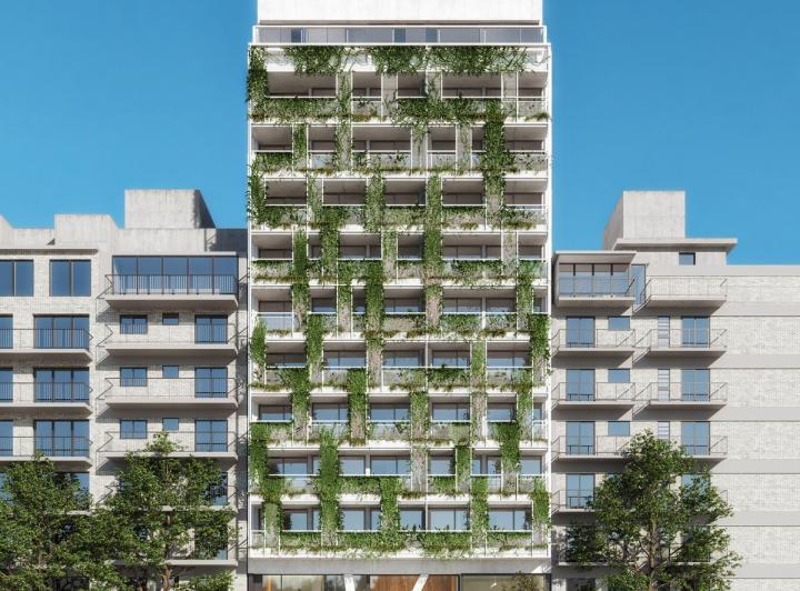Desarrollo vertical