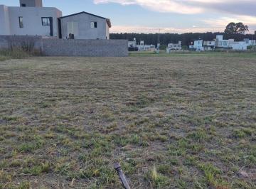 Terreno · 250m² · Lote en Venta La Foresta Rio Cuarto