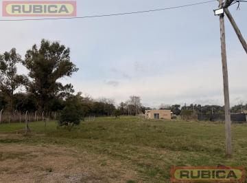 Terreno · 369m² · Terreno - Pilar