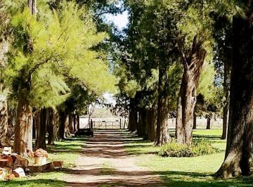 QUI-QUI-682_2 · Campo en Venta - 46ha Cortínes, Provincia de Buenos Aires