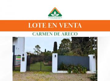 Terreno , Carmen de Areco · Lote en Venta C/ Mejoras