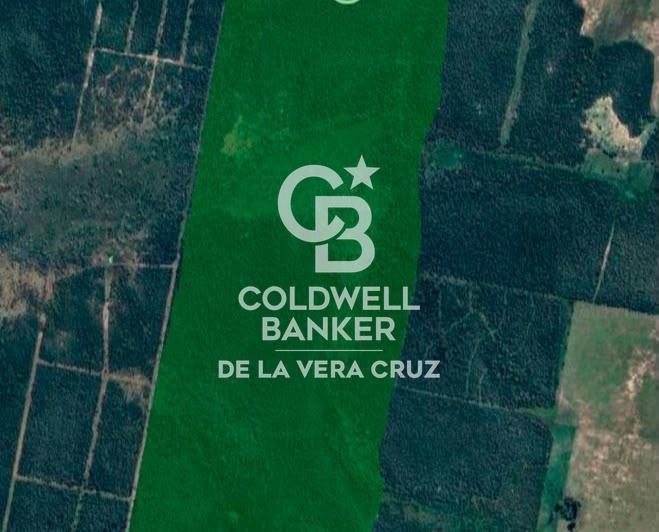 Campo · 3300000ha
