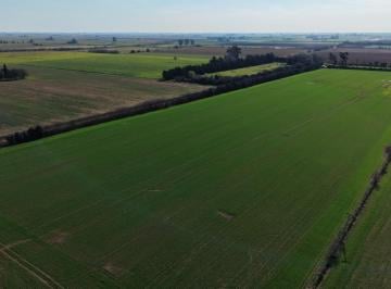 Campo · 11ha · Campo en Venta de 11 Ha Agricolas a 1500 m de Autopista Rosario - Bs As Libre de Mejoras