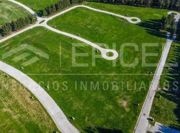 Terreno · 644m² · Lote en Venta Primera Etapa - Los Naranjos II