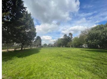 Terreno · 6288m² · Venta 2 Terrenos en 20 de Junio 6288 m² Esquina