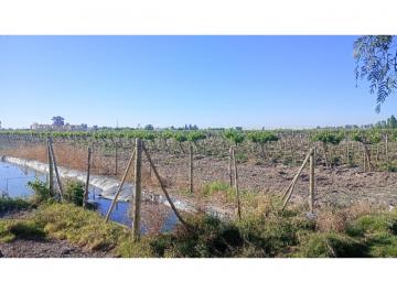 Terreno , Pocito · Vendo Finca en Pocito, San Juan