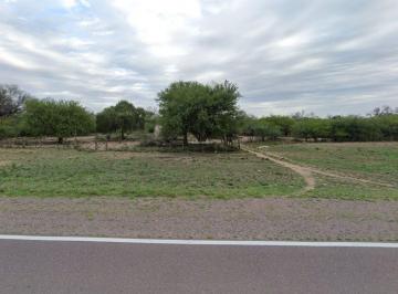 Campo · 919ha · Venta Campo Ganadero - Santiago del Estero