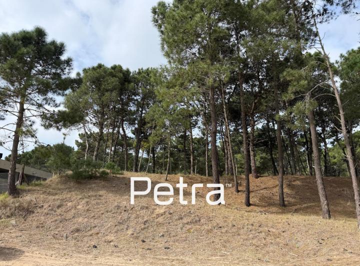 Terreno · 887m²