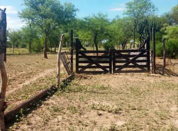 Campo · 4262ha · Vendo Hectarea - El Manantial