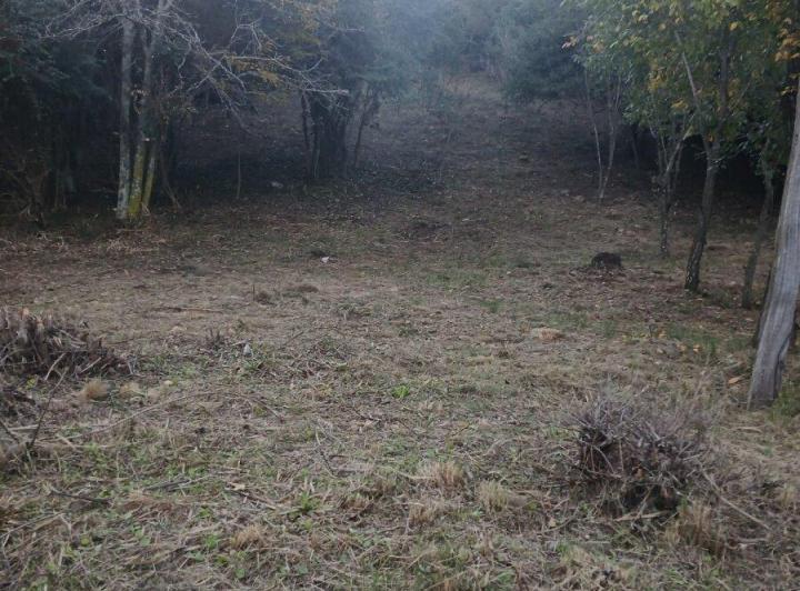 Terreno · 551m²
