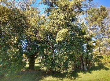 Terreno · 450m² · Terreno en Villa Amelia