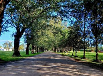 tokko-foto-5 · Venta | Lote | La Magdalena | Green