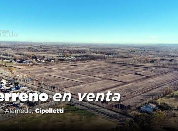 Terreno · 376m² · Venta Terreno Gran Alameda Cipolletti