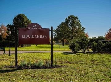 Terreno · 1103m² · Lote en Venta en Mirabosques, Los Cardales.