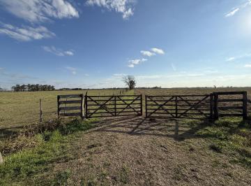 portada · Campo en Venta Villa Amelia
