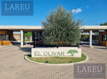Terreno · 380m² · Terreno en El Olivar