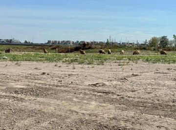 Terreno · 744m² · Terreno Lote en Venta en Silvestre, Nordelta, Tigre