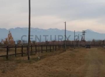 Terreno · 10000m² · Terereno en Venta en Tunuyan