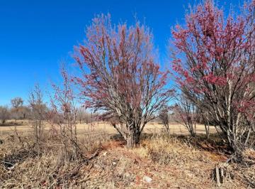 Terreno · 2000m² · Venta Lote Tunuyán