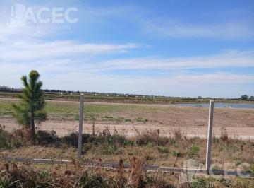 Campo · 585000m² · Venta - Campo 58,50 Ha - Ibarlucea