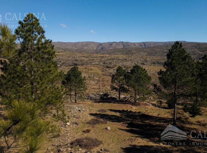 Terreno · 9175m² · 3 Dormitorios · 2 Cocheras