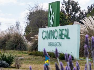 Terreno · 703m² · Venta de Lote Apto Dúplex en Urbanización Camino Real - Juarez Celman
