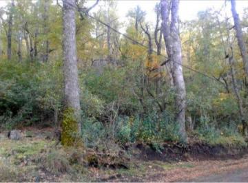 MLP-MLP-603_2 · Venta Lote 2750 m² Alihuen Alto San Martin de Los Andes