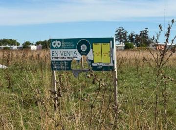 Terreno , Mar del Plata · Venta Terreno Para Desarrollo