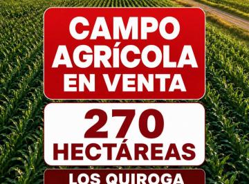 Campo · Campo - Santiago del Estero