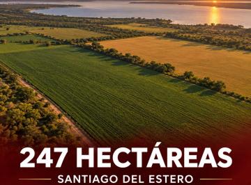 Campo · Campo - Santiago del Estero