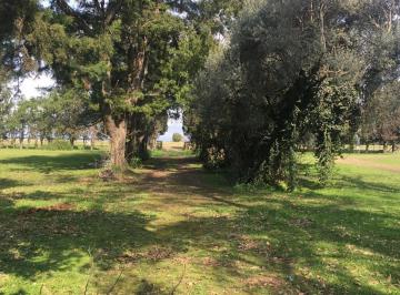 Terreno · 5ha · 5 Ha Increíble Ubicación Para Inversión/ Fabrica - Ruta 9 - Acceso Baradero