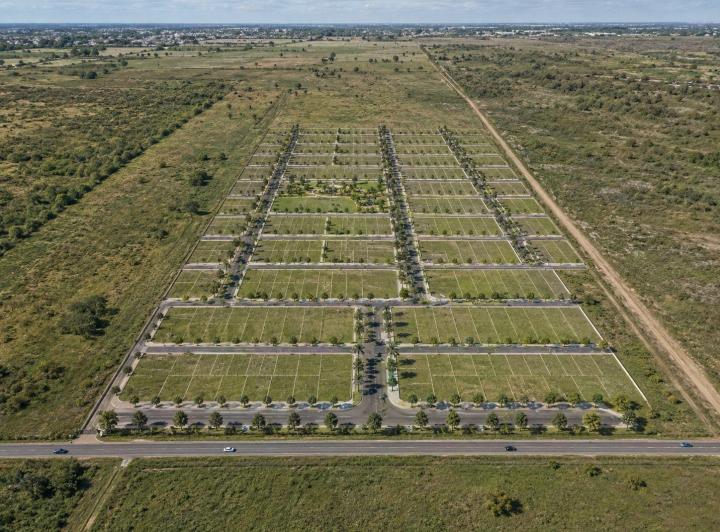 Desarrollo horizontal · La Arbolada del Camino de Las Flores