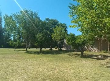 Terreno · 300m² · Lotes en Venta Bª Ancellota - San Martín - Mendoza