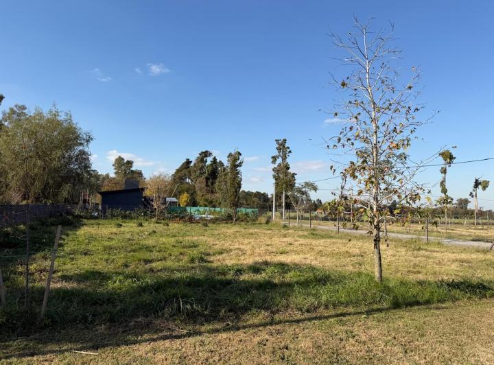 Terreno · 600m²