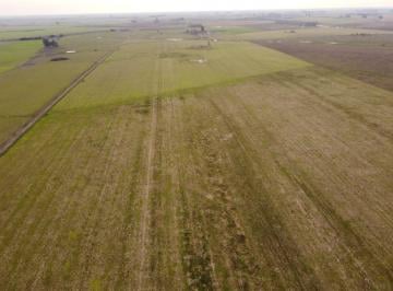 Campo , El Redomón · Muy Buen Campo Agrícola en Venta Dpto. Concordia, Zona El Redomón