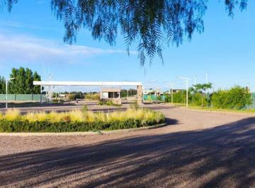 Terreno · 521m² · Venta Lote Barrio Privado Bosque Blanco Junin