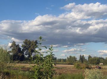 Campo · 7ha · Proyecto Inmobiliario