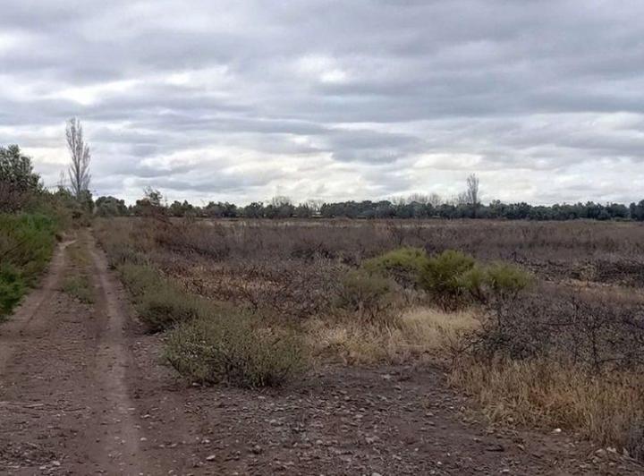 Terreno · 68636m²