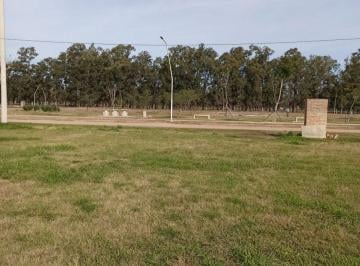 Terreno · 393m² · Venta Lote en Jardinales - Esperanza