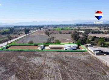 Local comercial · 800m² · Local Comercial Mas Terreno Venta Camino Colon